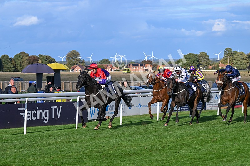 240924-Race 7-It Just Takes Time-6920 - Race 7