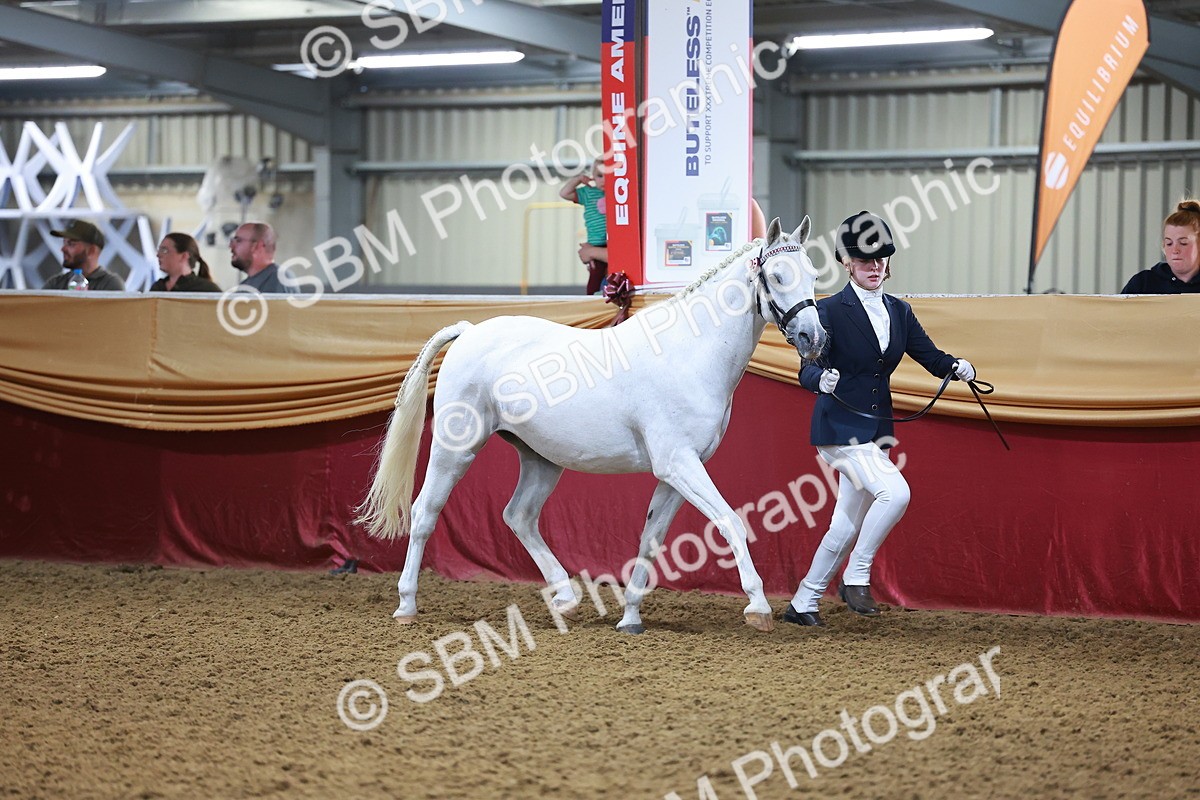 SBM_14660 - Class B - Junior Champ 11 to 16 Years