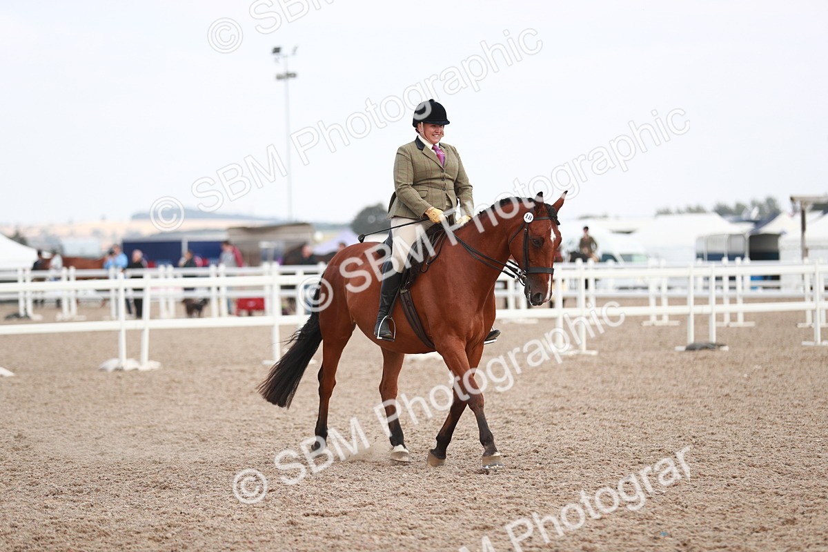 SBM_15533 - Class 213 Ridden Hunter -Large