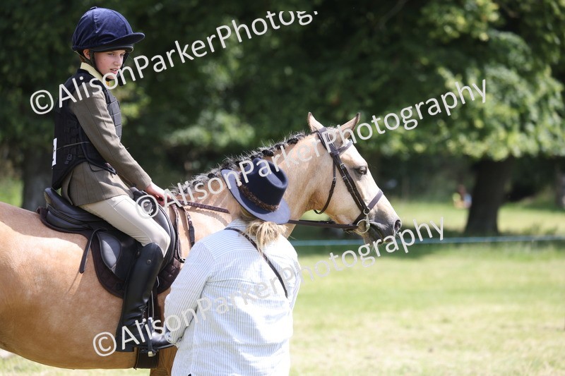 20260614-1790 - Class 21 - Novice Working Hunter Pony