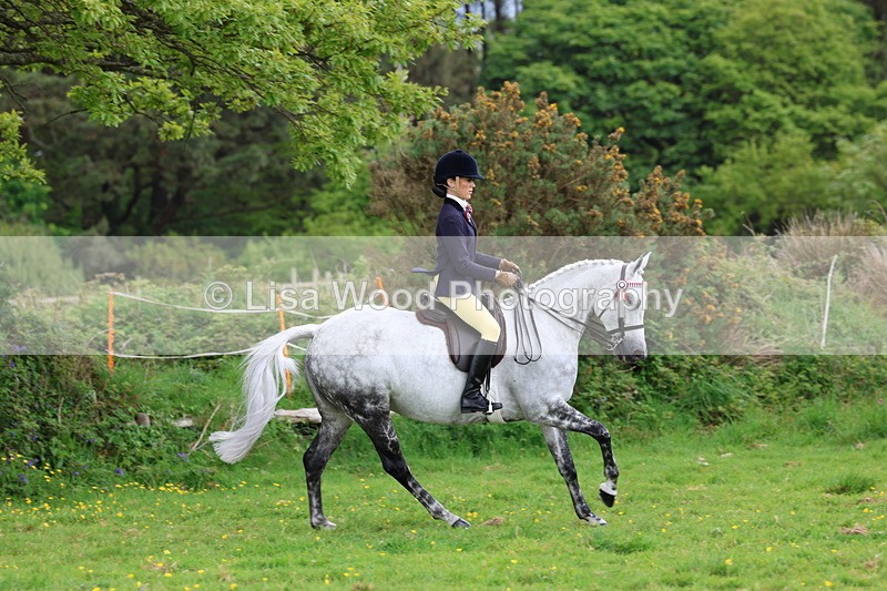 3E7A2076 - Class 11: Ridden Arab