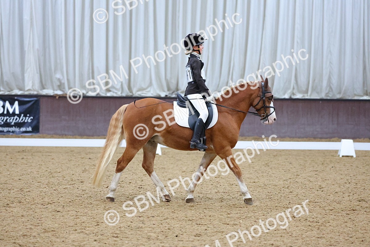SBM_004210 - Intermediate