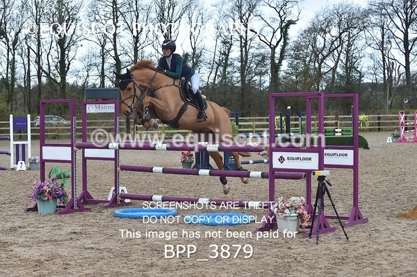 BPP_3879 - CLASS 4 Senior Newcomers/ 1.10m Open