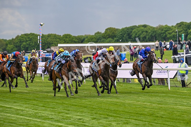 140526-Race 3-Maybe Not-4884 - Race 3 2.55pm Oakmere Homes Hambleton Handicap