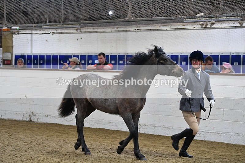 WJ5_3408 - Class 1 Youngstock