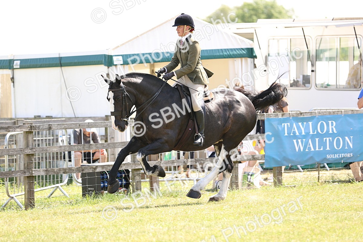 SBM_13788 - Class 77 - LIHS BSHA Rising Star Cobs
