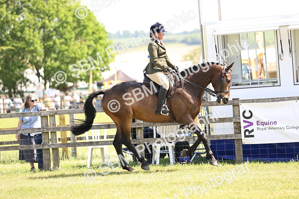 SBM_13073 - Class 75-76 LIHS BSHA Rising Star Hack Riding Horse