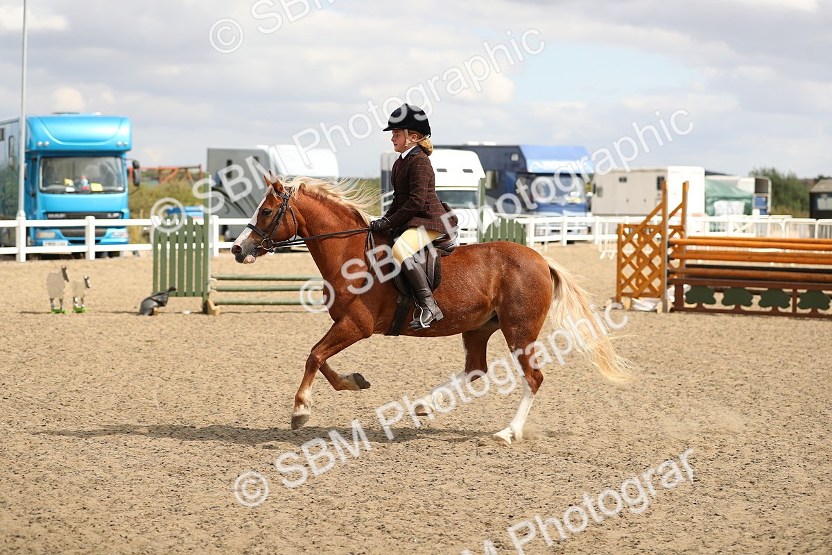 SBM_04737 - Class 46b Style & Performance 50cm (20+)