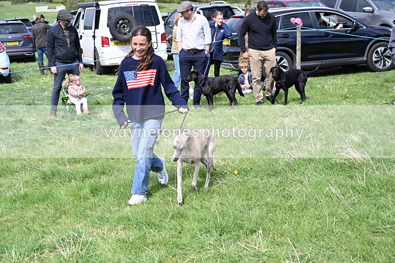 WJ6_9022 - Class 8 Best Working / Gun Dog or Bitch