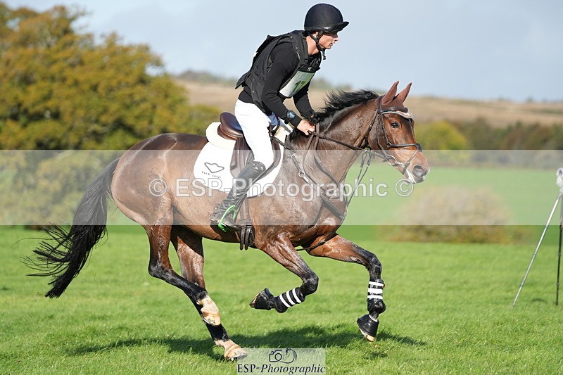 251024A-112123-07214 - A-017-Harrison.Chart