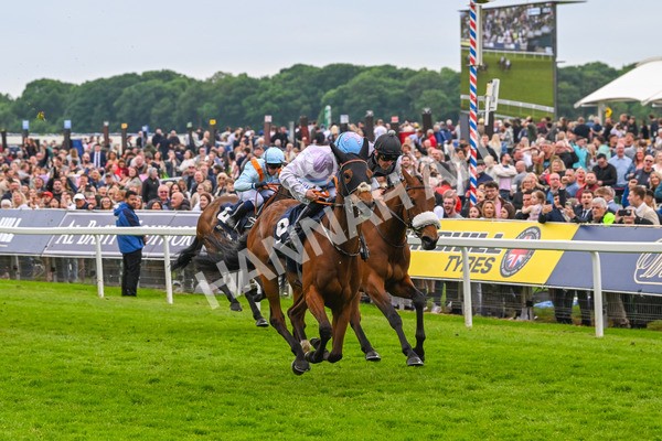 250524-Race 4-Term Of Endearment-3598 - Race 4 3.20pm William Hill Bronte Cup Fillies' Stakes