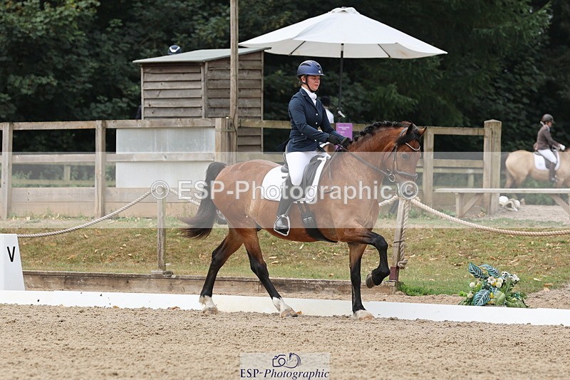 250718A-114551-00945 - 117-Alexandra.Northwood-Scurlagecastle.Gino