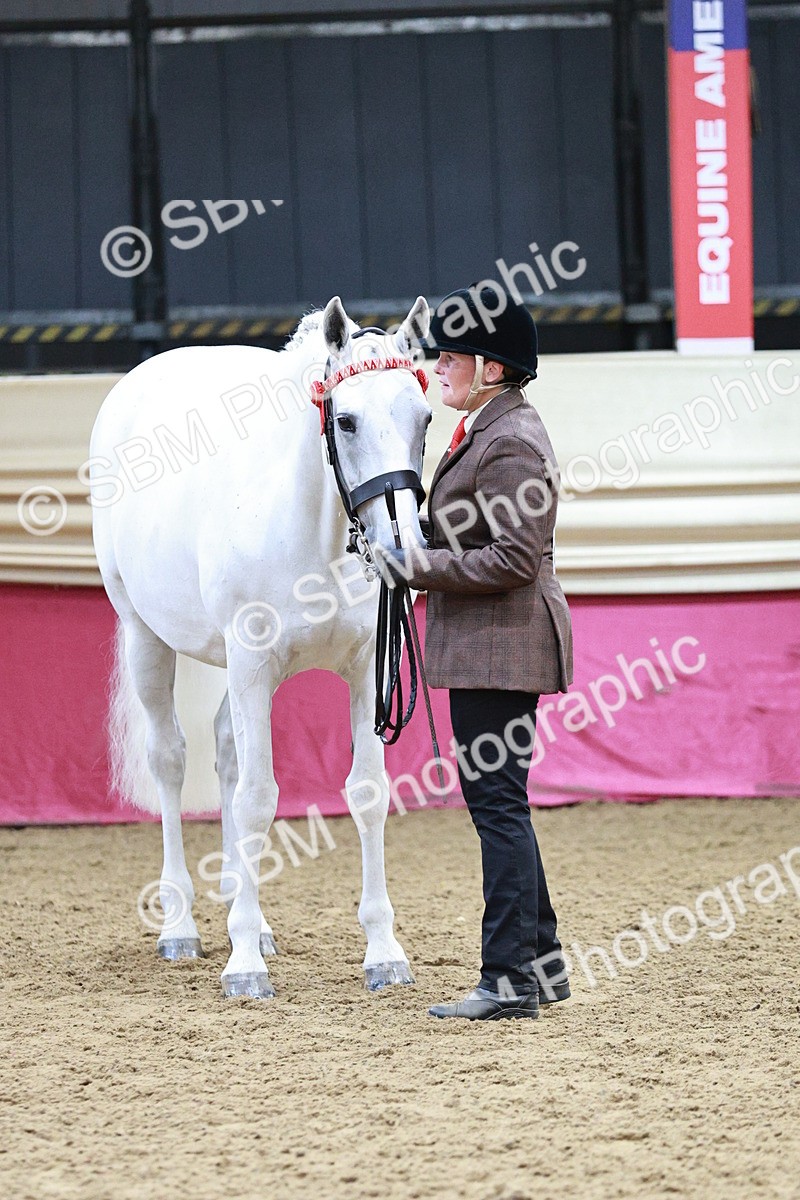 SBM_01231 - Class 3A - Area IH Pre-Vet