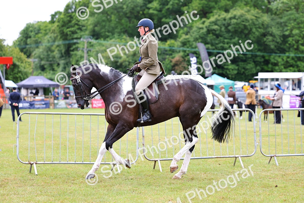 SBM_02653 - Class 9-11 Side Saddle including LIHS Rising Star Ladies Show Horse