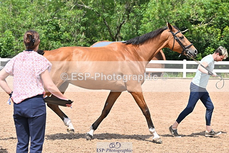 240718A-105319-01833 - Trot Up 1pm to 2pm