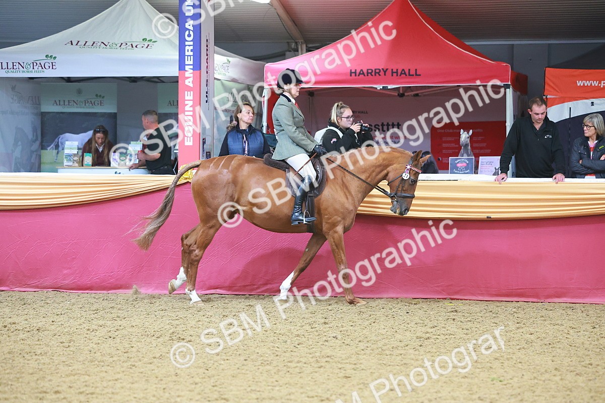 SBM_09638 - Class 102 - HOYS Veteran Qualifier - Ridden Veteran