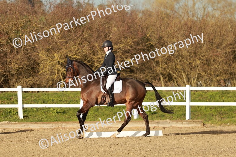 20260314-6371 - CT7 - Elementary 2