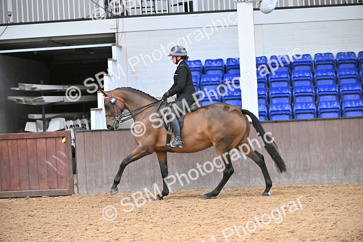 SBM_002354 - Class 22 - BSHA Ridden Hack & Riding Horse
