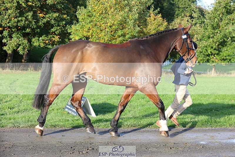 251026A-094920-22505 - D-351-Thomas.Harris