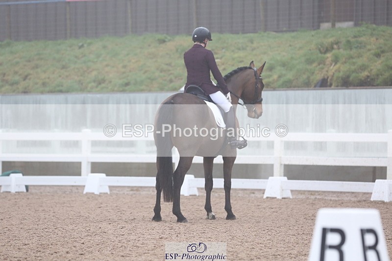 240217A-094537-00837 - 114-kelly.jewell-Juno.Watt