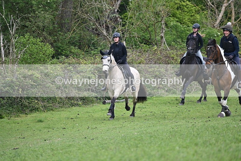WJ6_2815 - A Camera