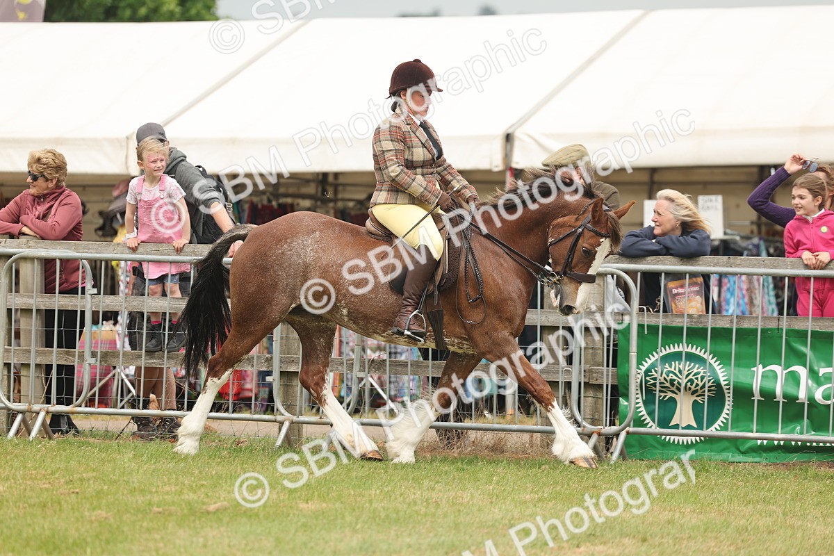 SBM_07172 - Class 76-77 - Ridden M&M Welsh Ponies