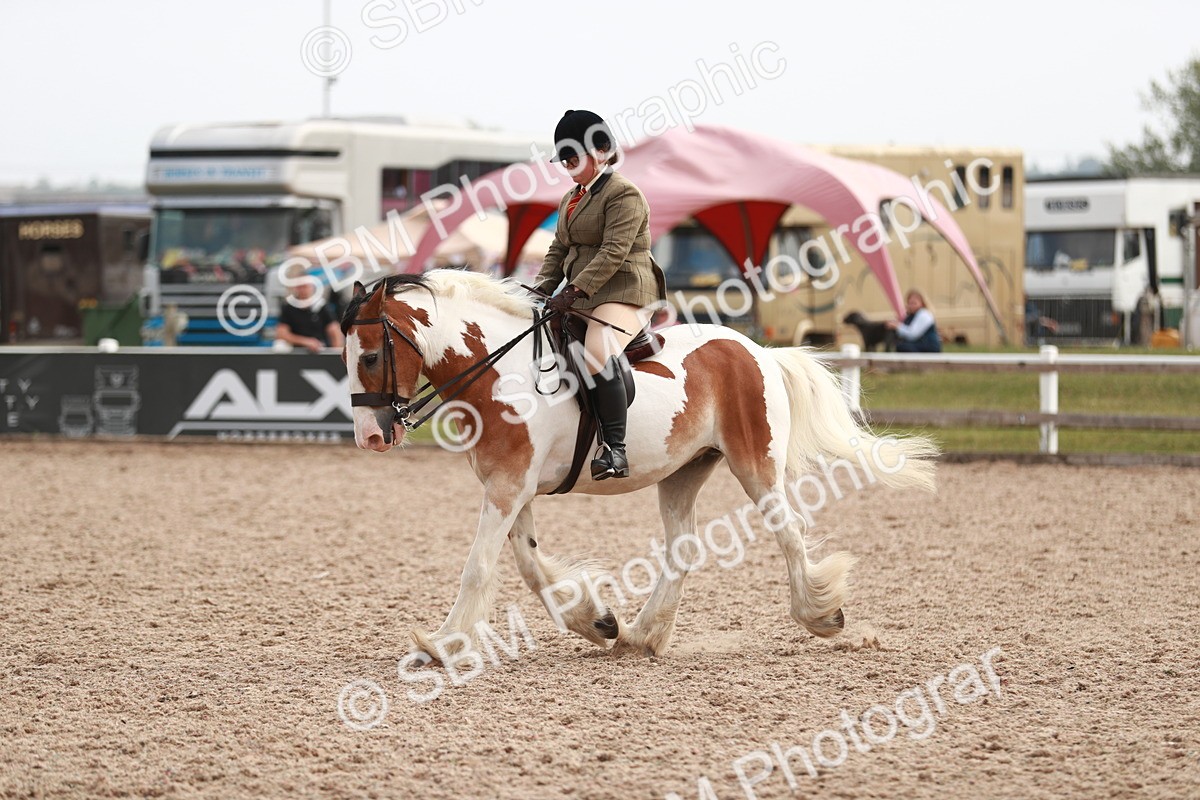 SBM_16802 - Class 214 Ridden Cob