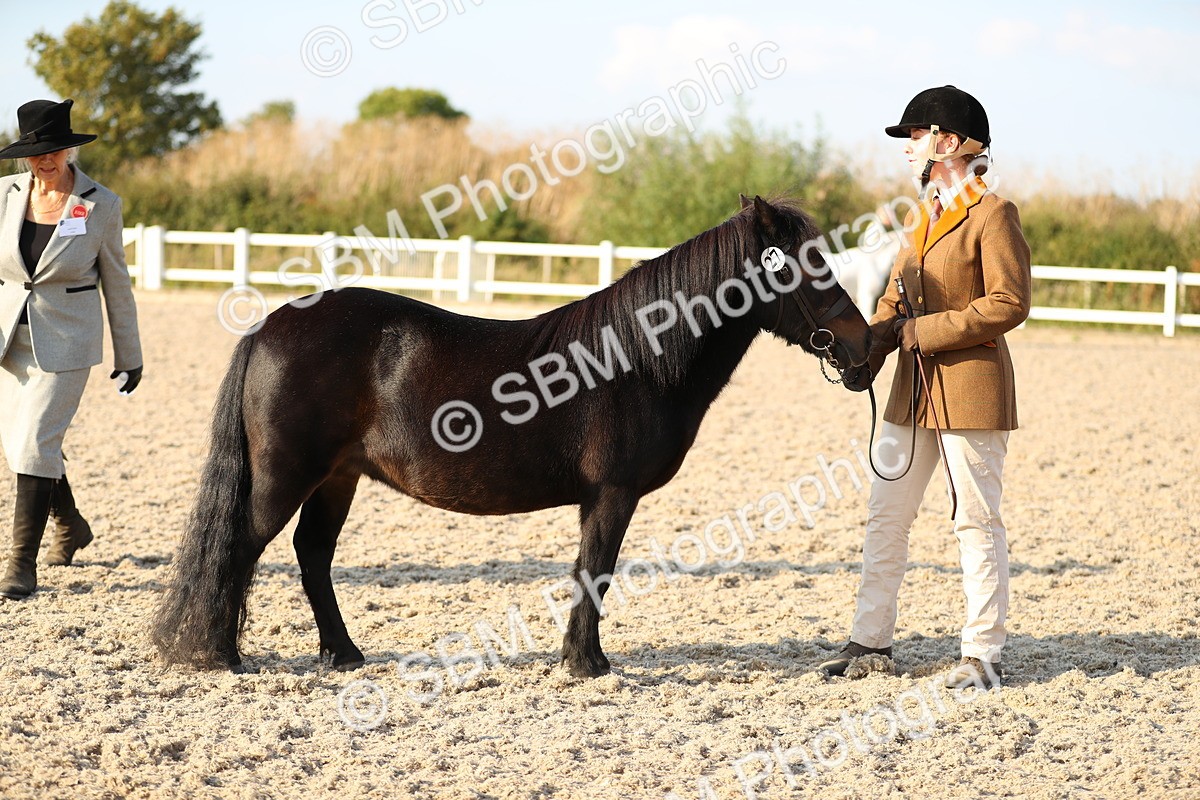 SBM_09027 - Class 29 IH Veteran Pony