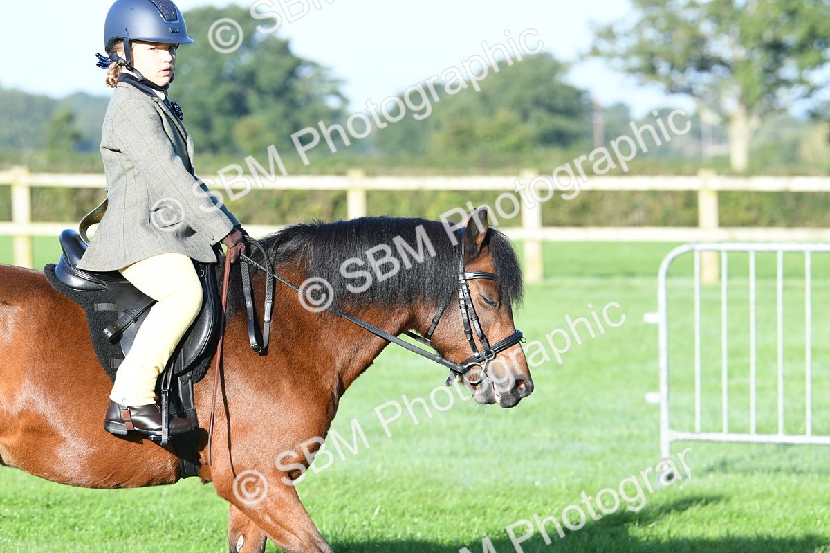 SBM_33864 - S16 - Condition & Turnout - Ridden