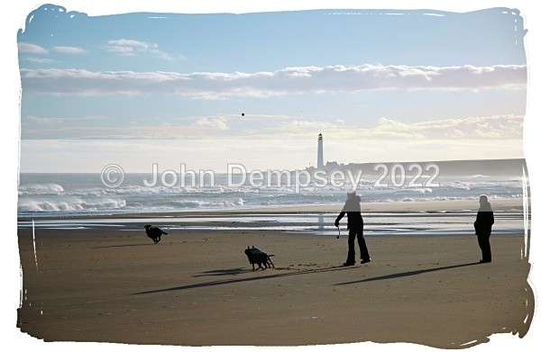 Jill Loses The Ball - Walking the Dog