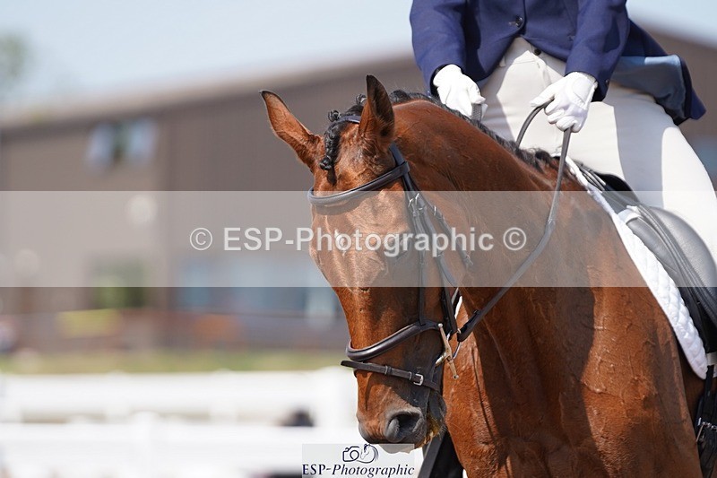 250621-155908-09634 - RoR Cls 4b-4c, Prelim