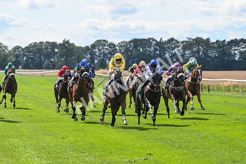 020825-Race 4-Moulin Booj-3107 - Race 4