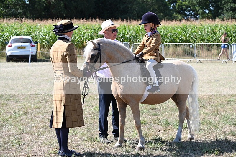 WJ6_8031 - Class 36 Lead Rein