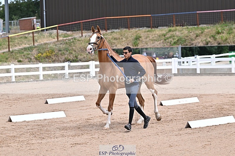 250716-130218-00274 - Trot Up 12.30 to 1.30