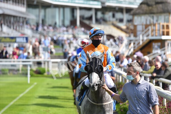 yr09072021r5-17 - Race 5: 4.20pm Garbutt + Elliott Stakes