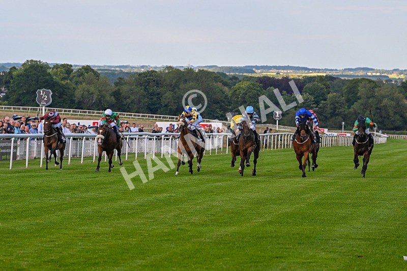 220724-Race 4-Alices Impact-1776 - Race 4