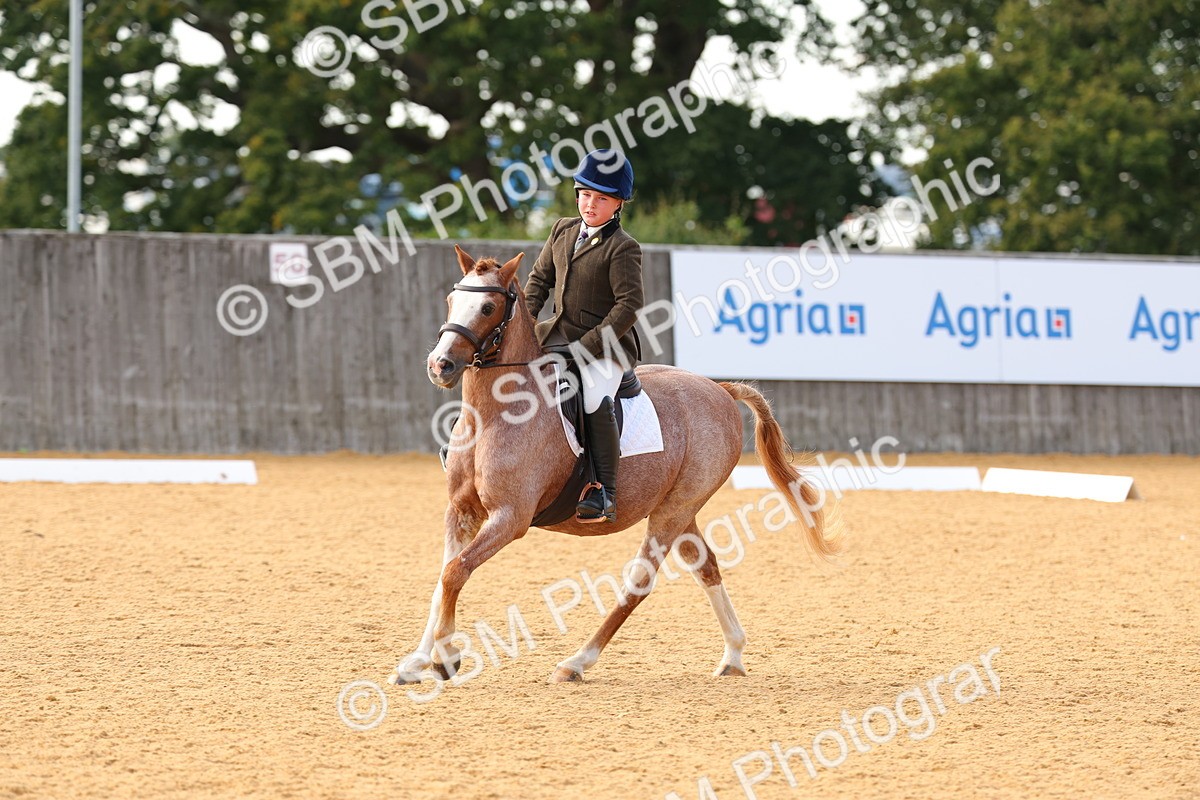 SBM_49737 - D24 - Junior Championship - Prelim 1