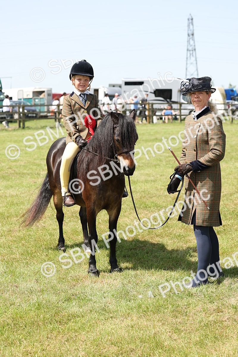 SBM_05275 - Class 24-25 - Mountain & Moorland In Hand Lead Rein and First Ridden