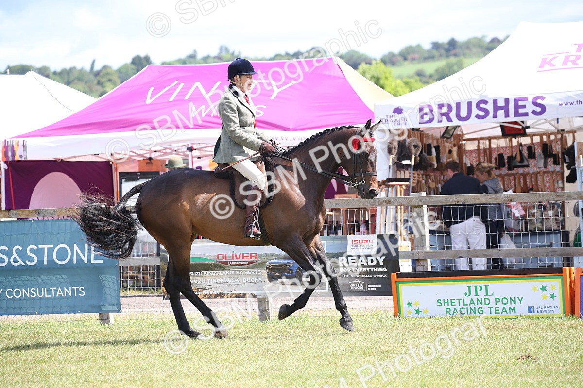 SBM_13344 - Class 95-96 - LIHS BSHA Rising Star Hack Riding Horse