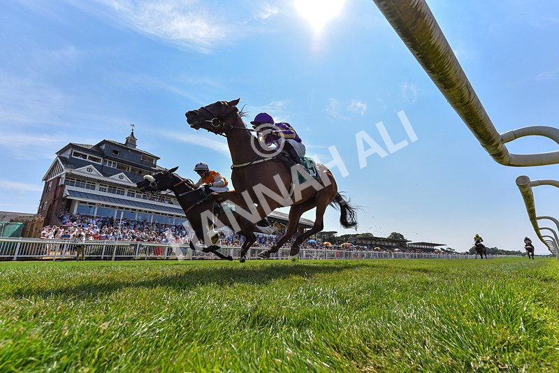 160726-Race 2-Hatamoto-3343 - Race 2 14.28pm By Chen Presidential Apprentice Handicap