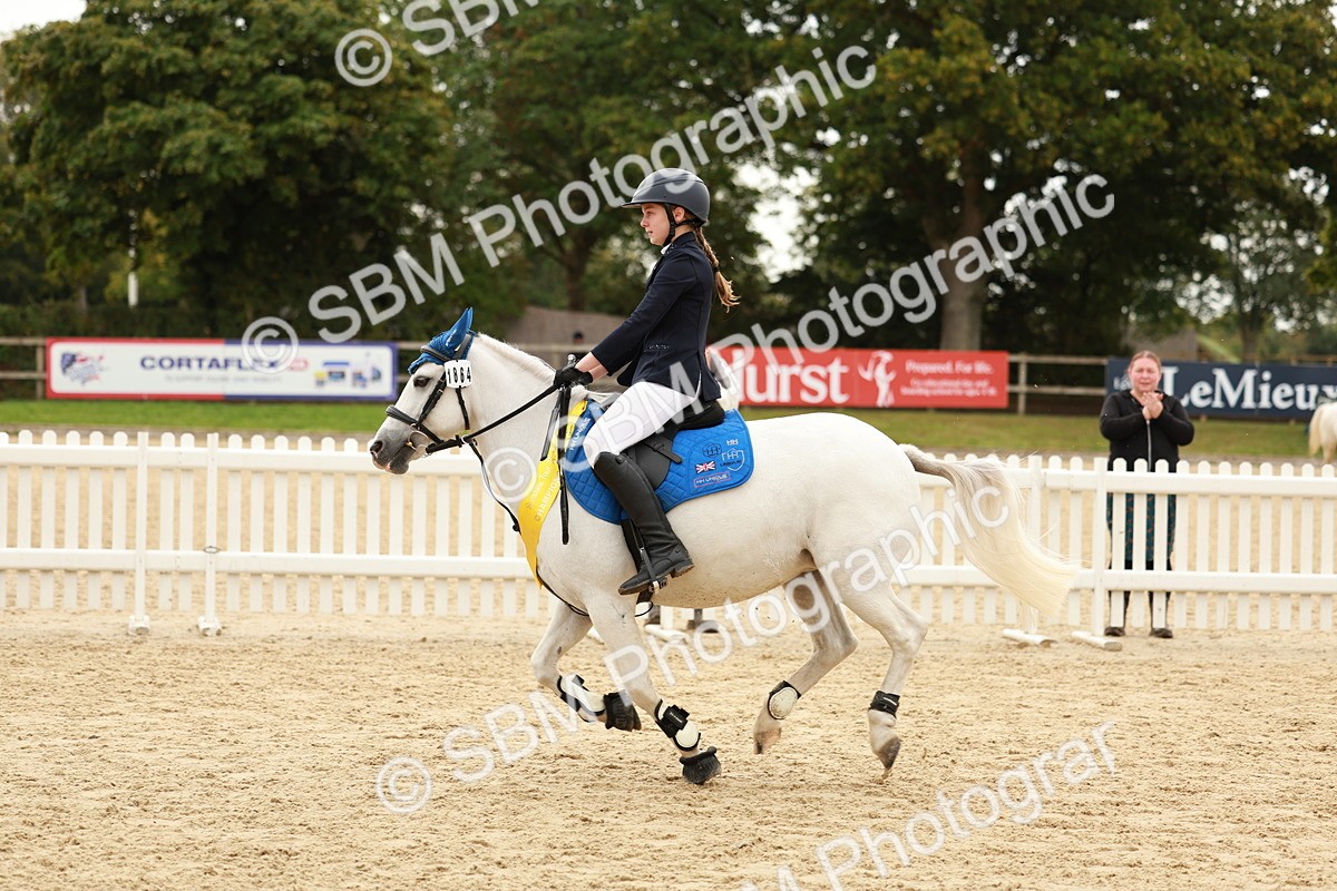 SBM_58118 - J11 - Junior Pony 50cm Championship
