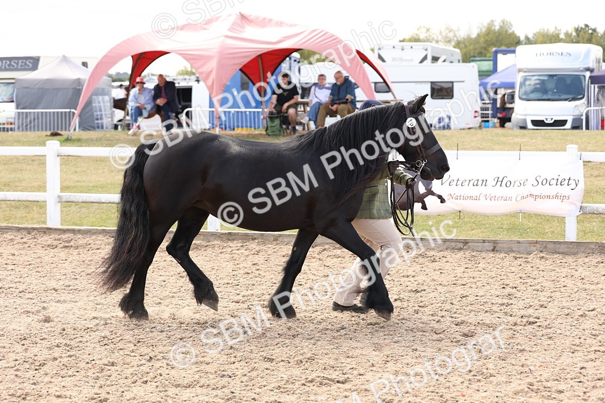 SBM_15077 - Class 209 - IH Veteran Pony