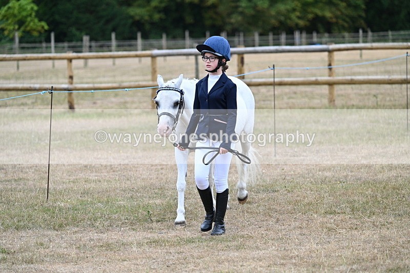 WJ7_8024 - Class 4 Prettiest Mare up to 14.2hh