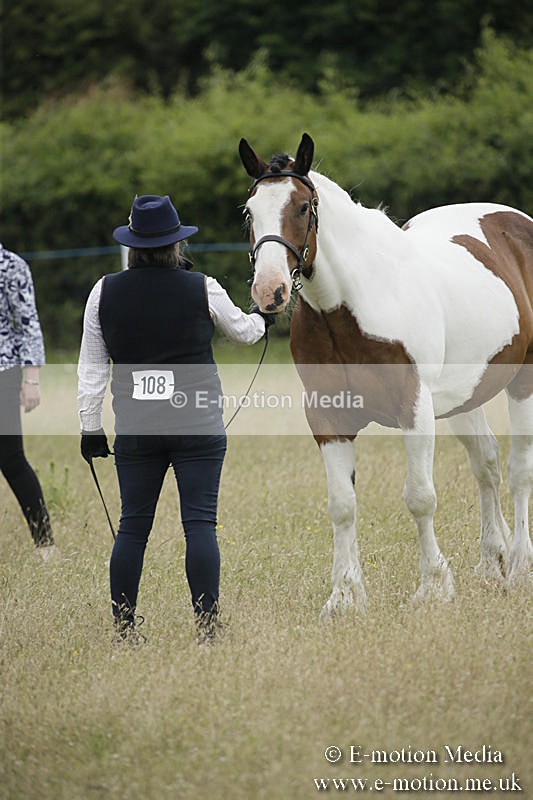 B230619-0689 - Bourne Valley Riding Club Summer Show 23/06/19