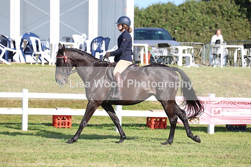 3E7A5611 - Class 2: Rising Star Large Hack/Riding Horse