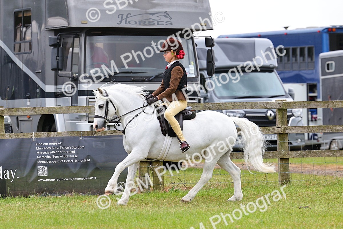 SBM_08726 - Class 42-43 - LIHS BSPS Heritage Working Sports Pony