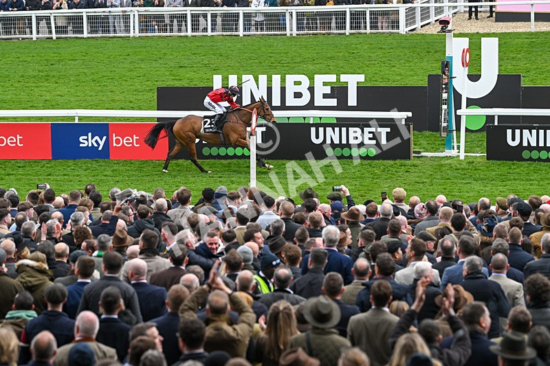 110325-Race 3-Myretown-2488 - 11th March