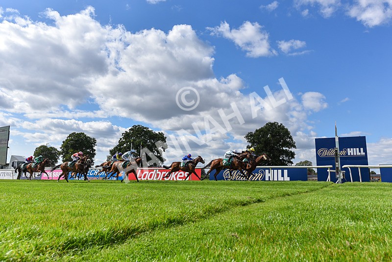 020825-Race 5-Rhythm Master-8177 - Race 5