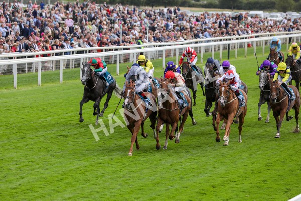 220824-Race 3-Thunder Run-7648 - Race 3 3.00pm Clipper Handicap