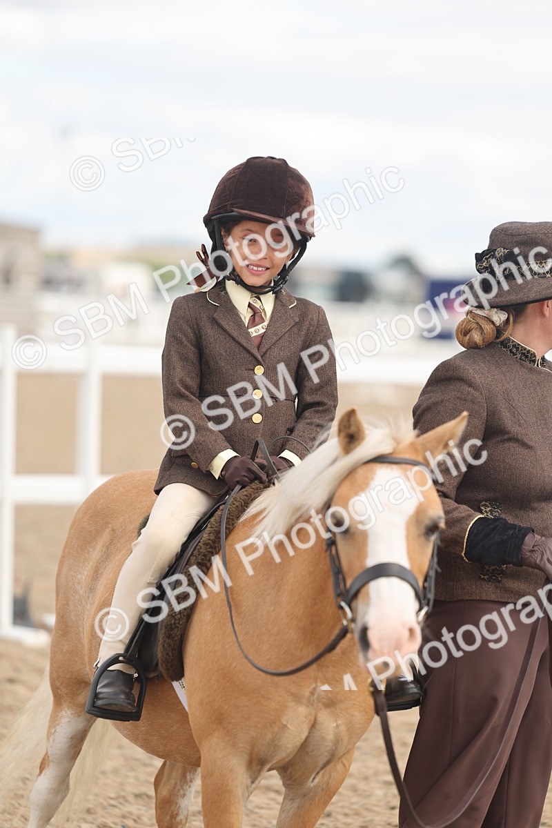 SBM_15795 - Class 309 - Lead Rein Pony